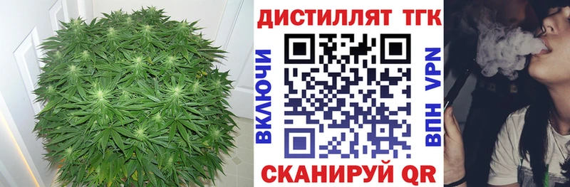 mega зеркало  Шиханы  Дистиллят ТГК THC oil  сколько стоит 