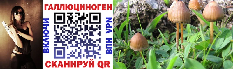 Псилоцибиновые грибы ЛСД  дарк нет состав  Шиханы 