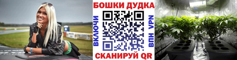 Конопля White Widow  купить закладку  Шиханы 